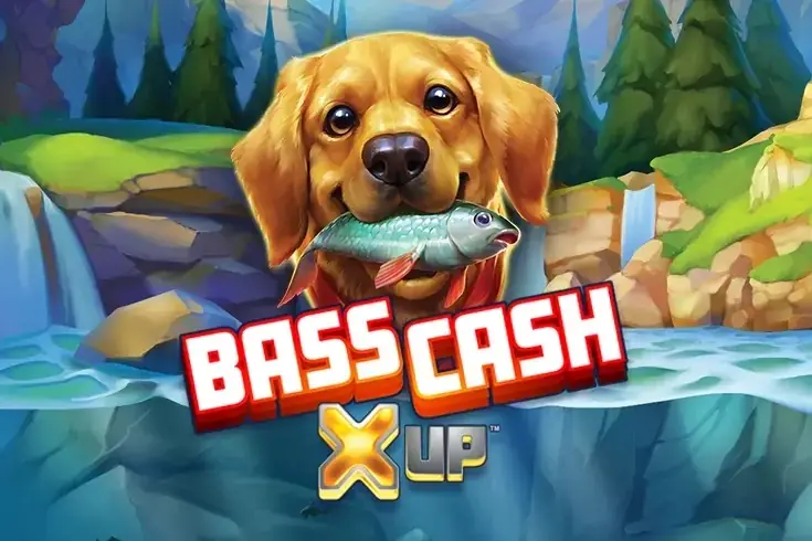 Bass Cash X UP thumbnail