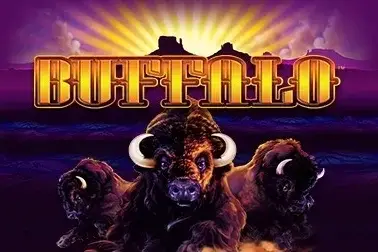 Buffalo Stack 'n' Sync