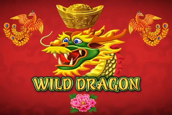 Wild Dragon Unleashed